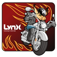 propostalynxmotard
